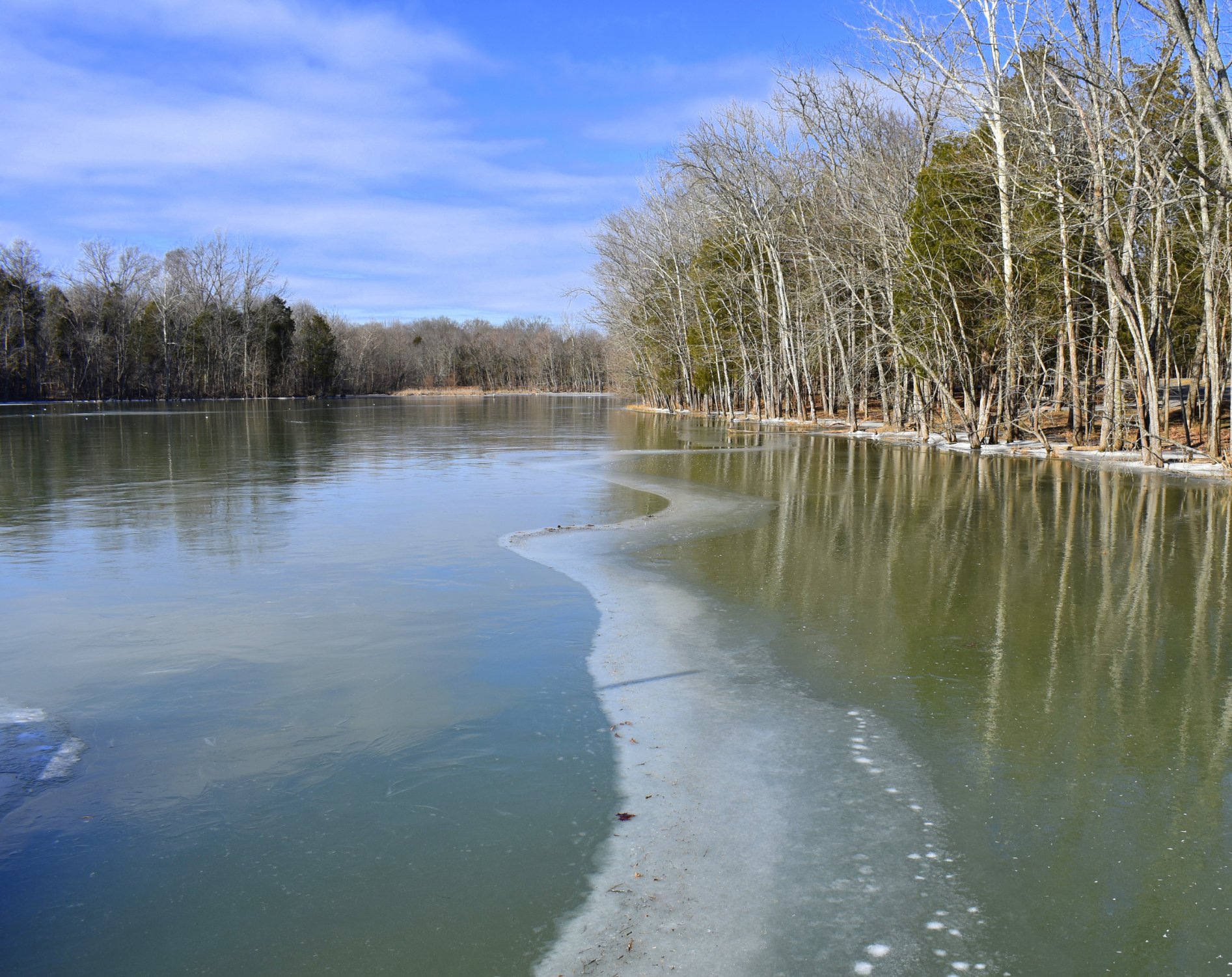 Bledsoe Creek State Park