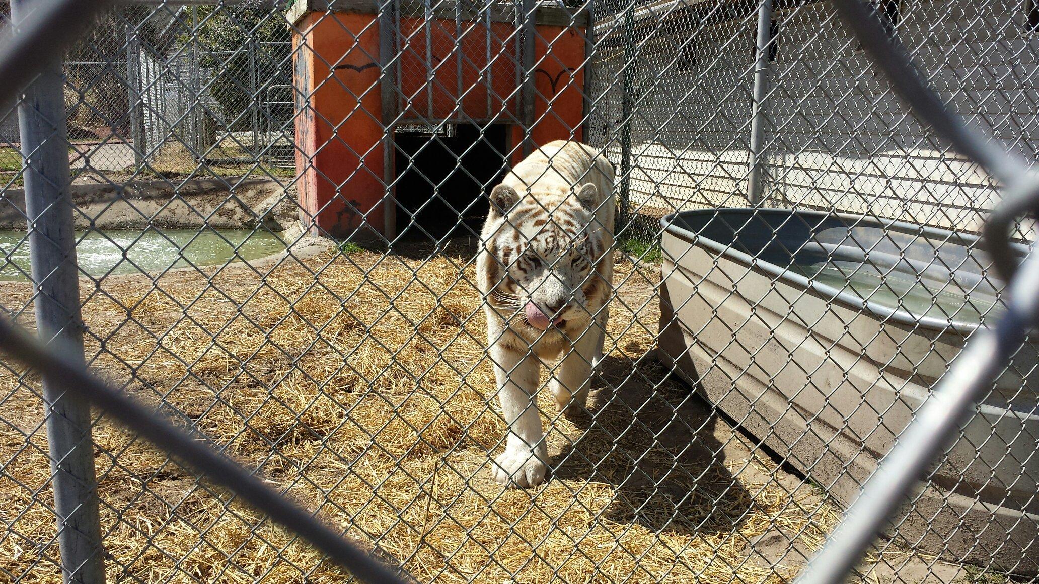 Aloha Safari Zoo