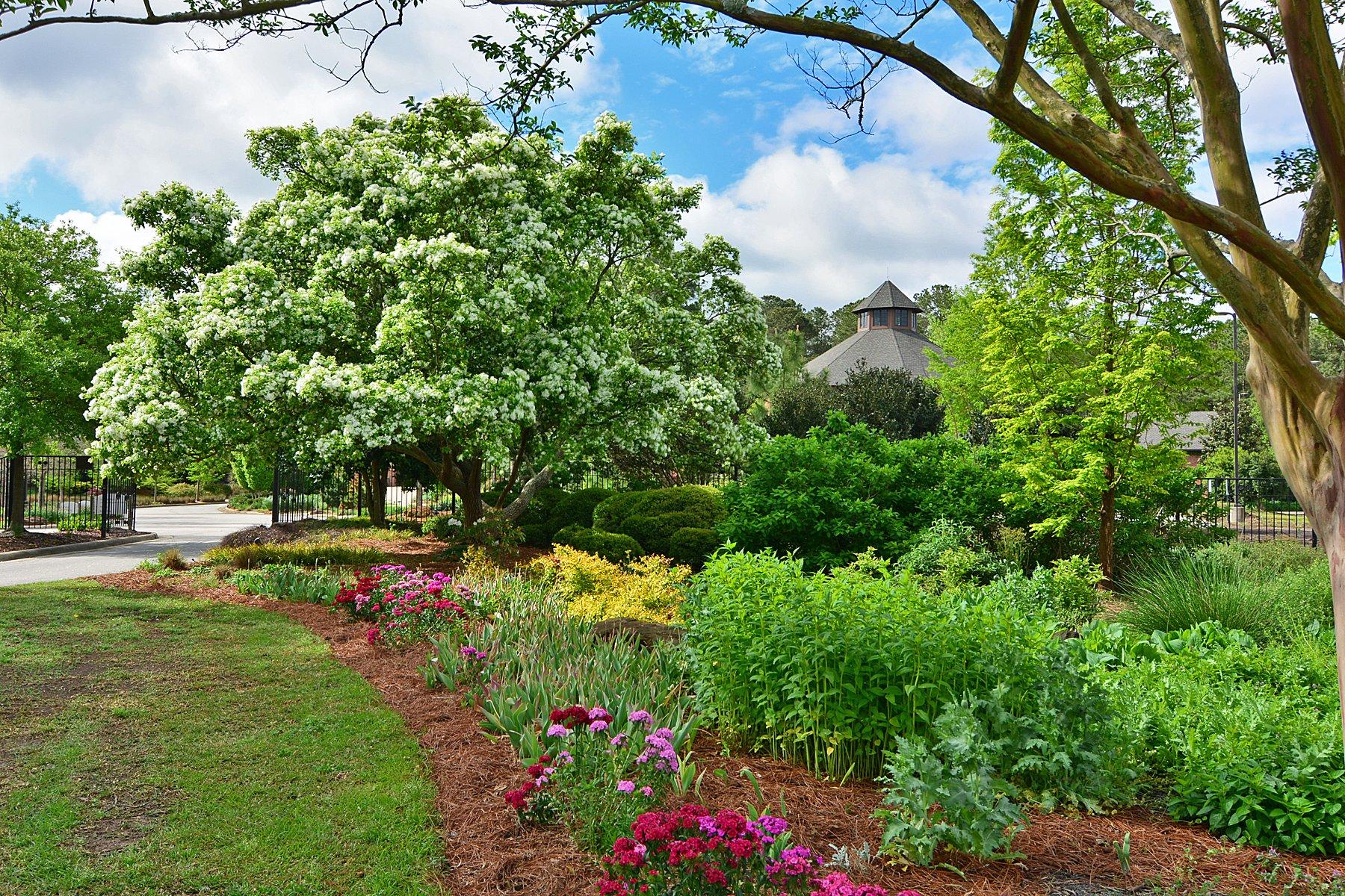 Cape Fear Botanical Garden