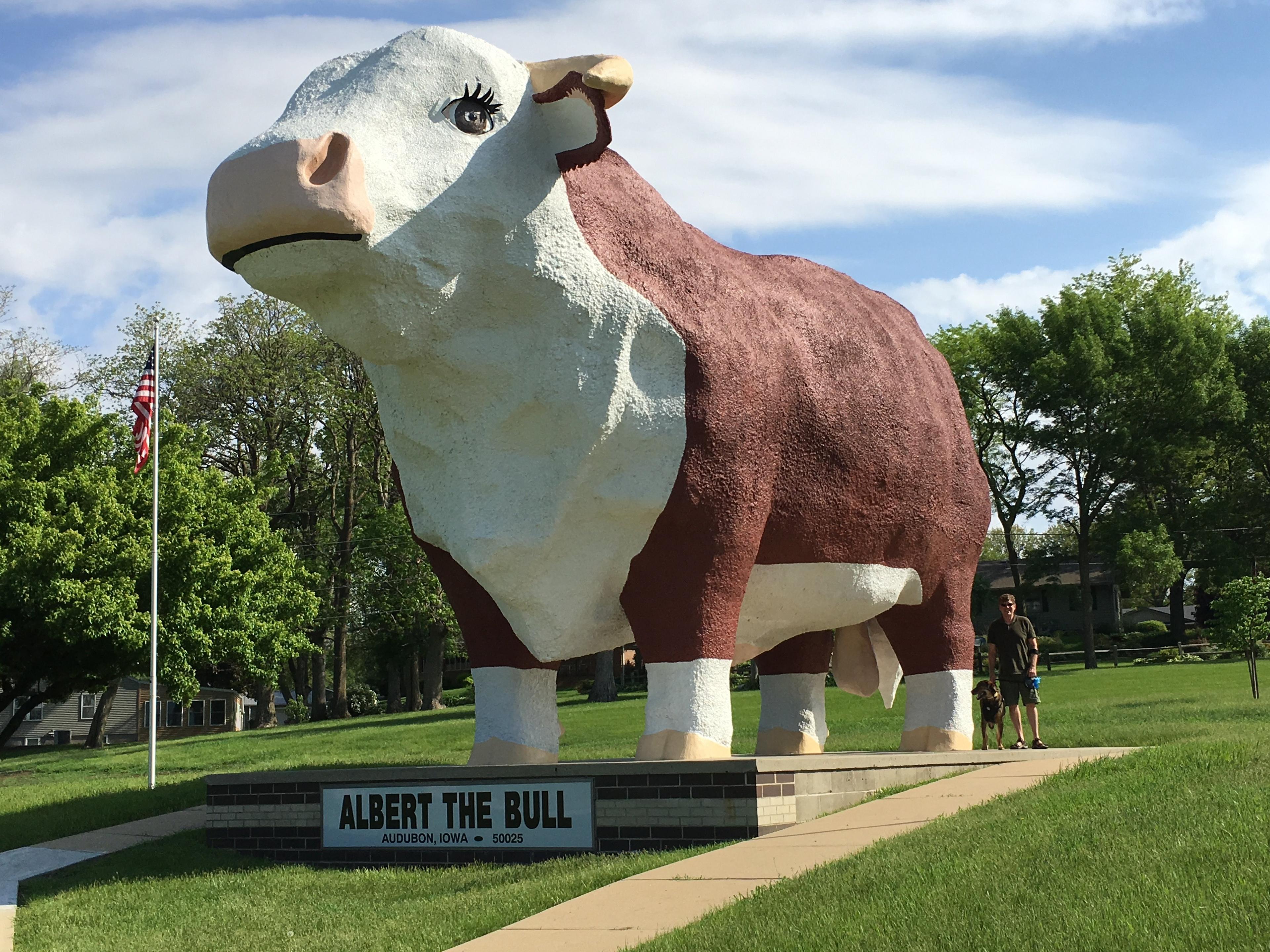 Albert the Bull