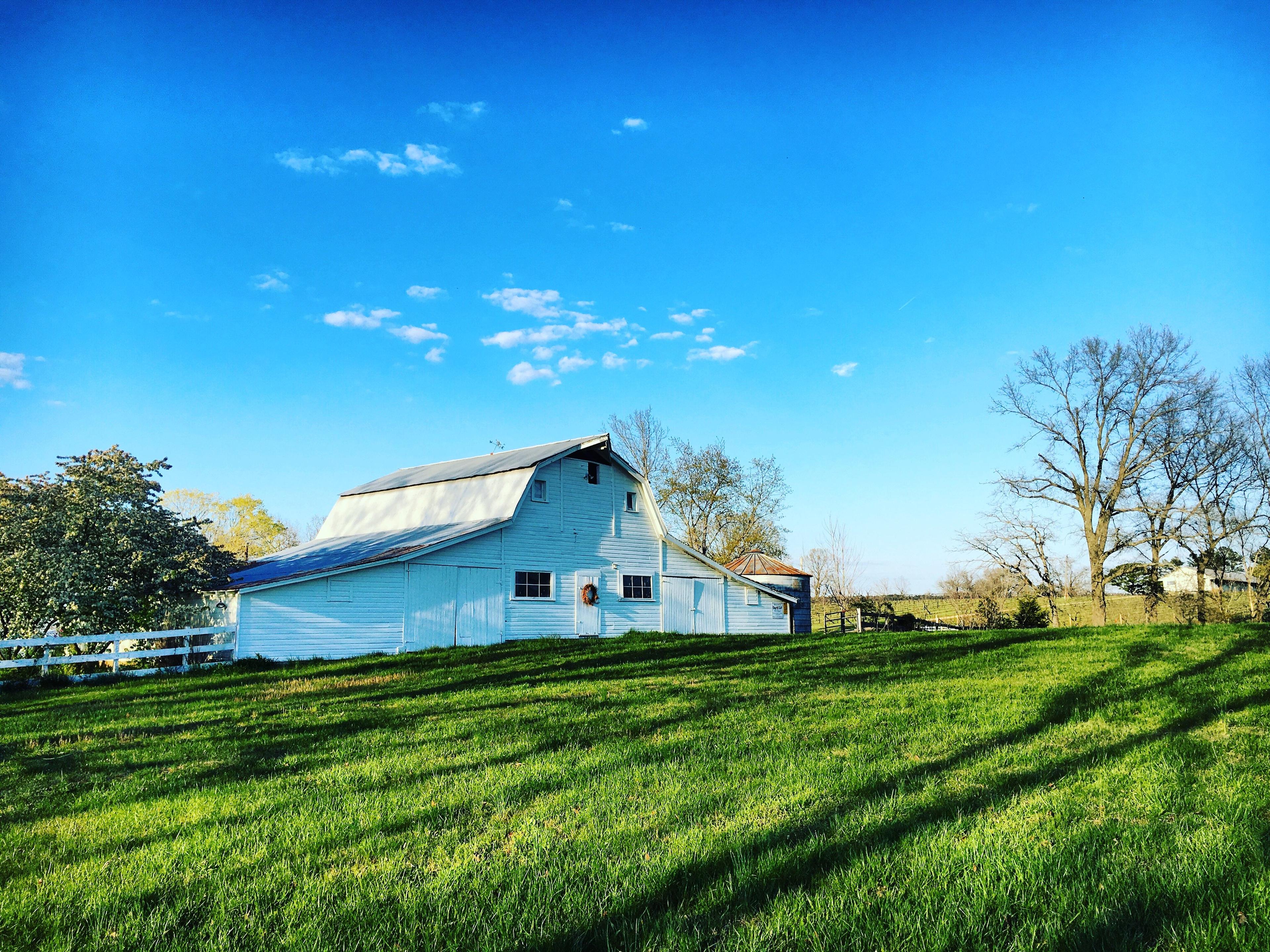 Edg-Clif Farms & Vineyard