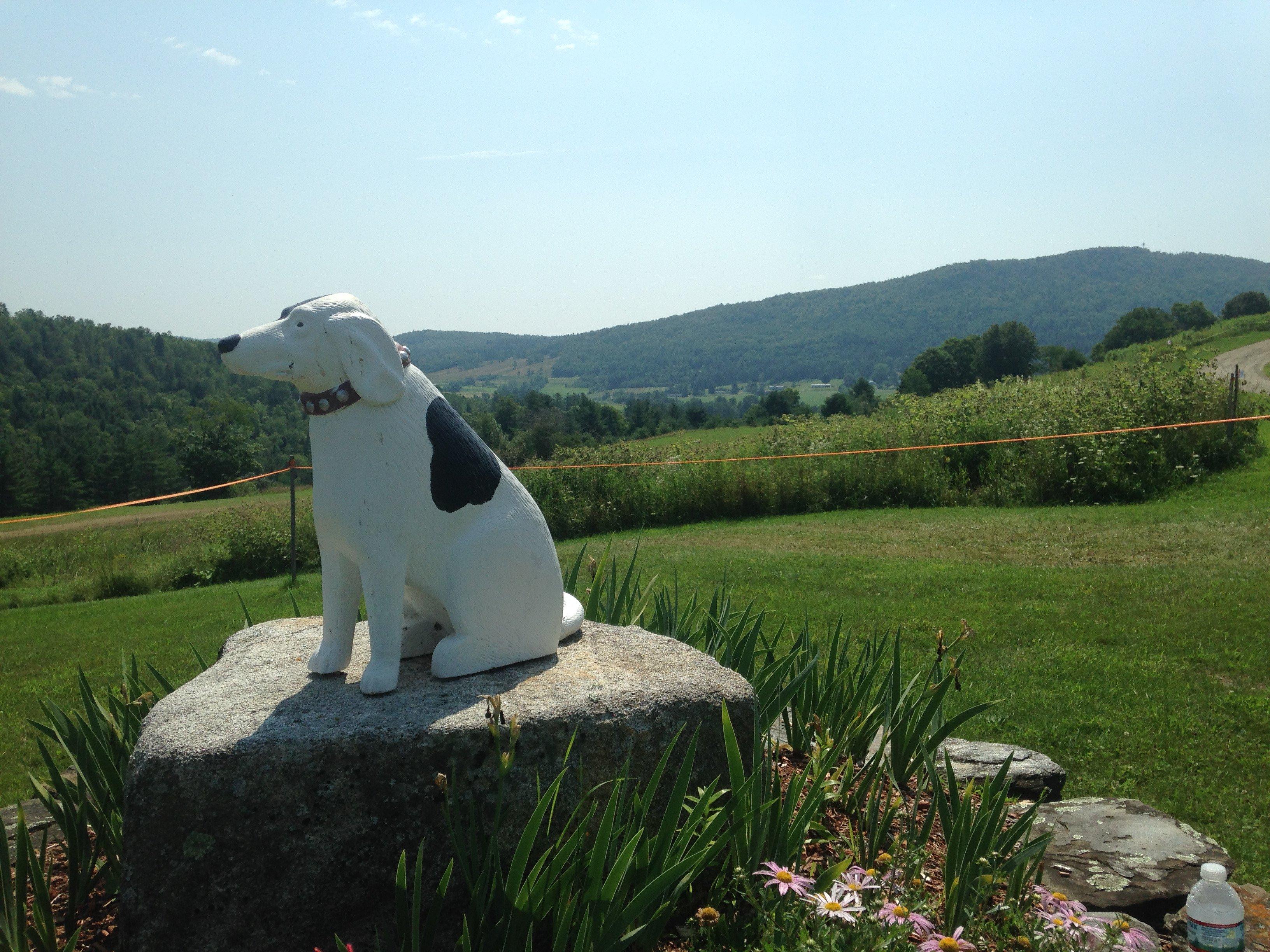 The Dog Chapel