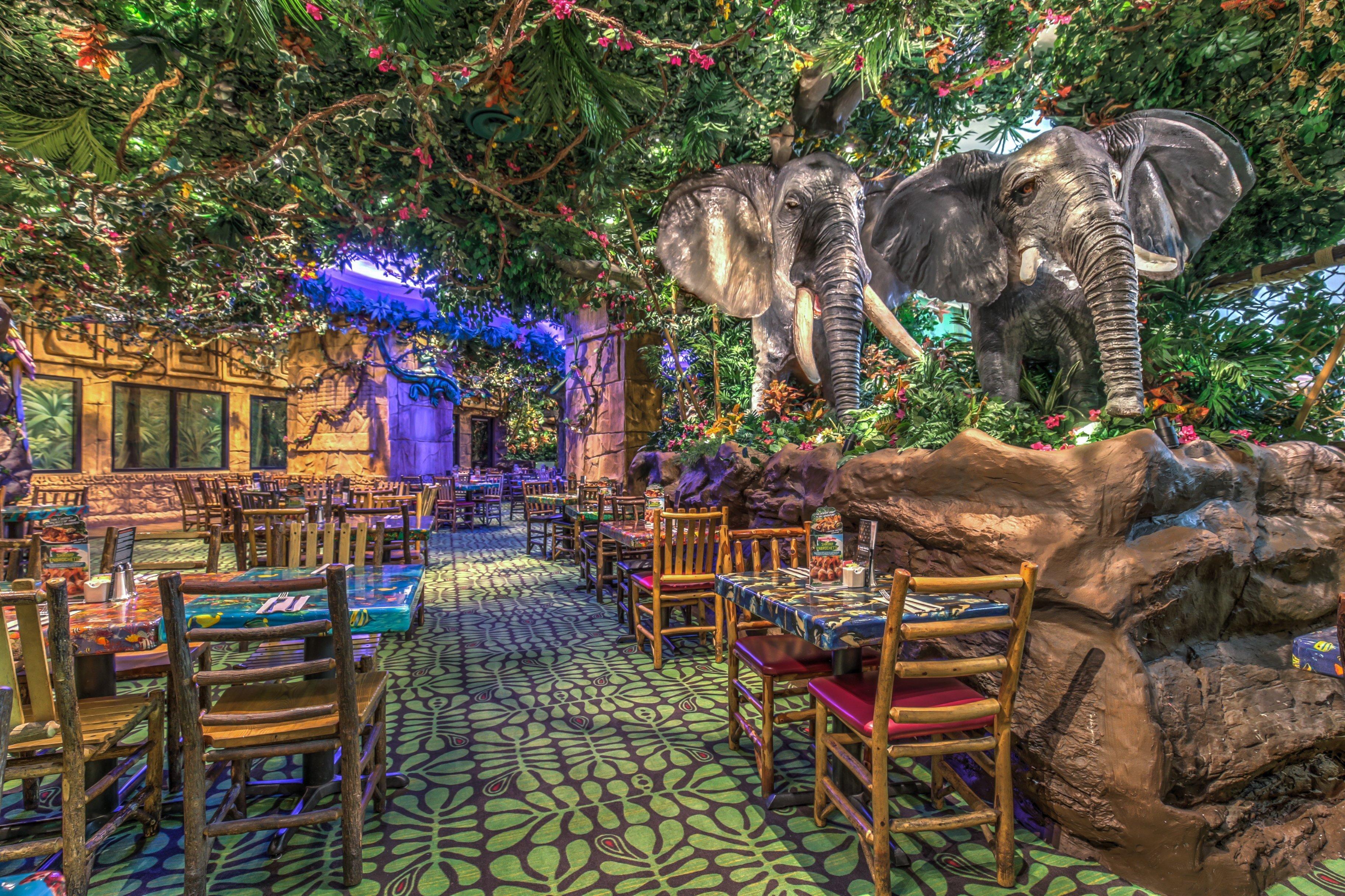 Rainforest Cafe