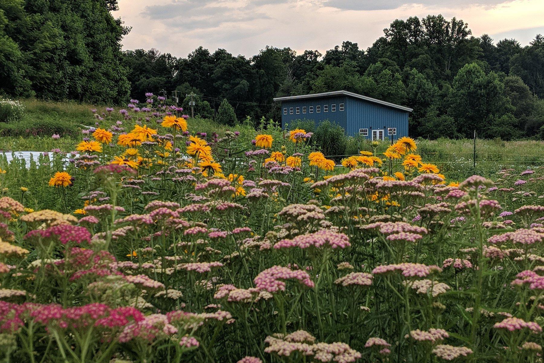 Sideways Farm & Brewery