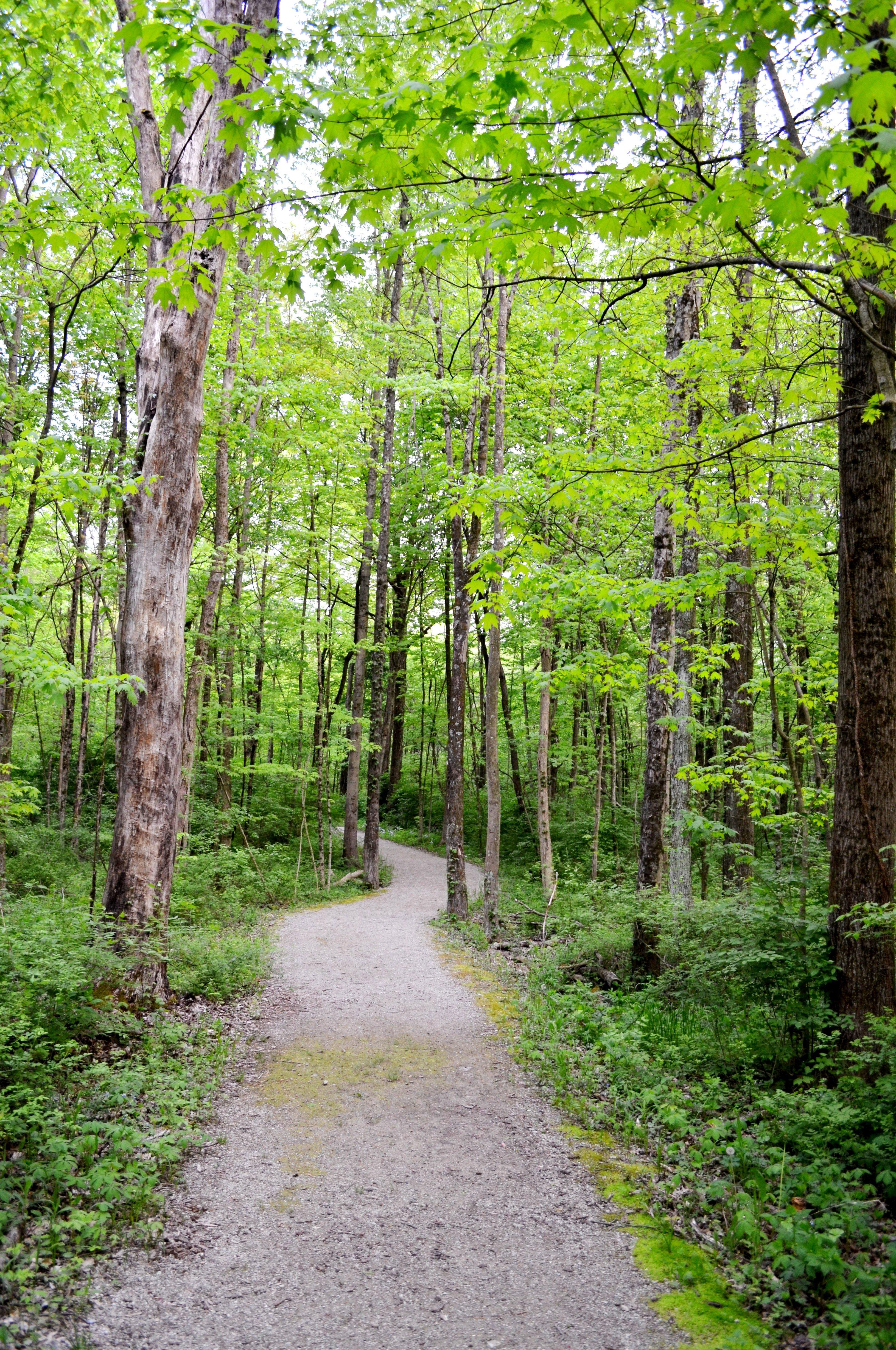 Gallant Woods Park