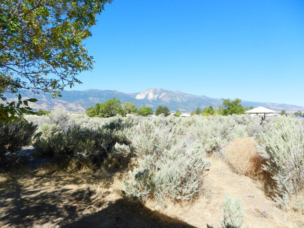 Washoe Lake State Park