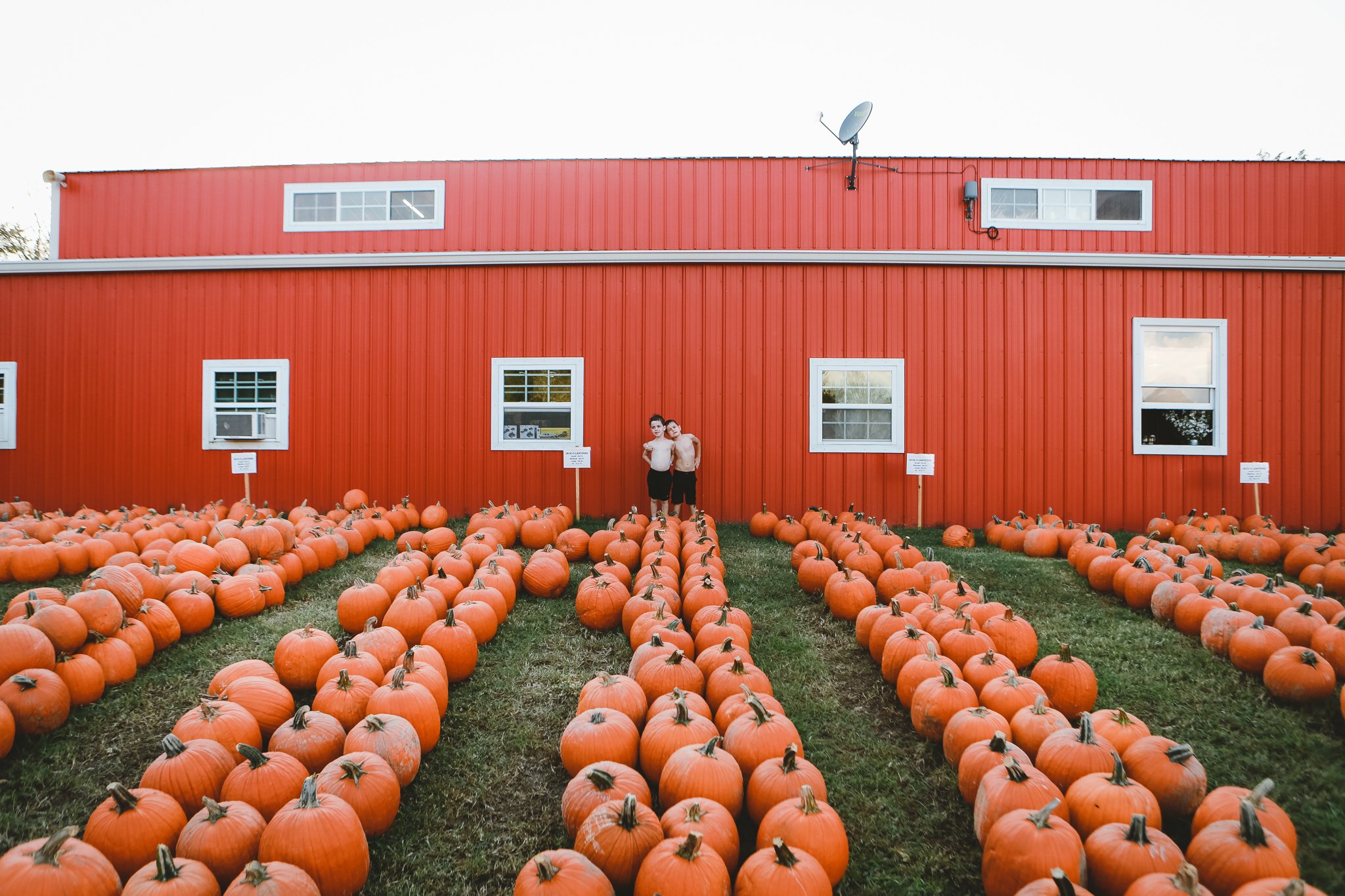 Lucky Ladd Farms