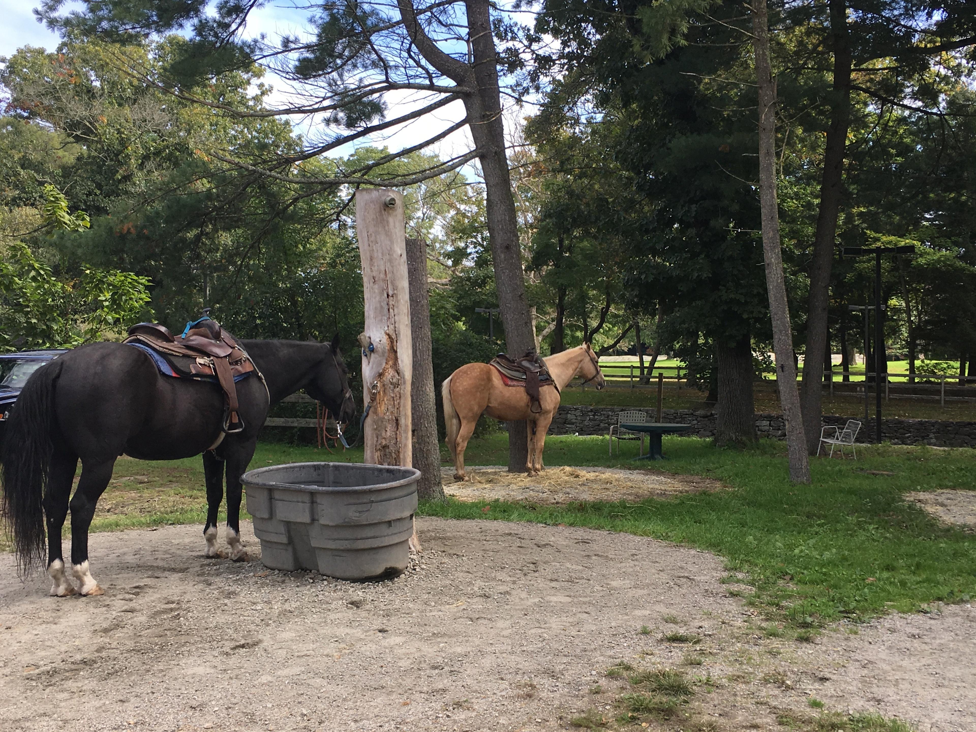 C and L Stables