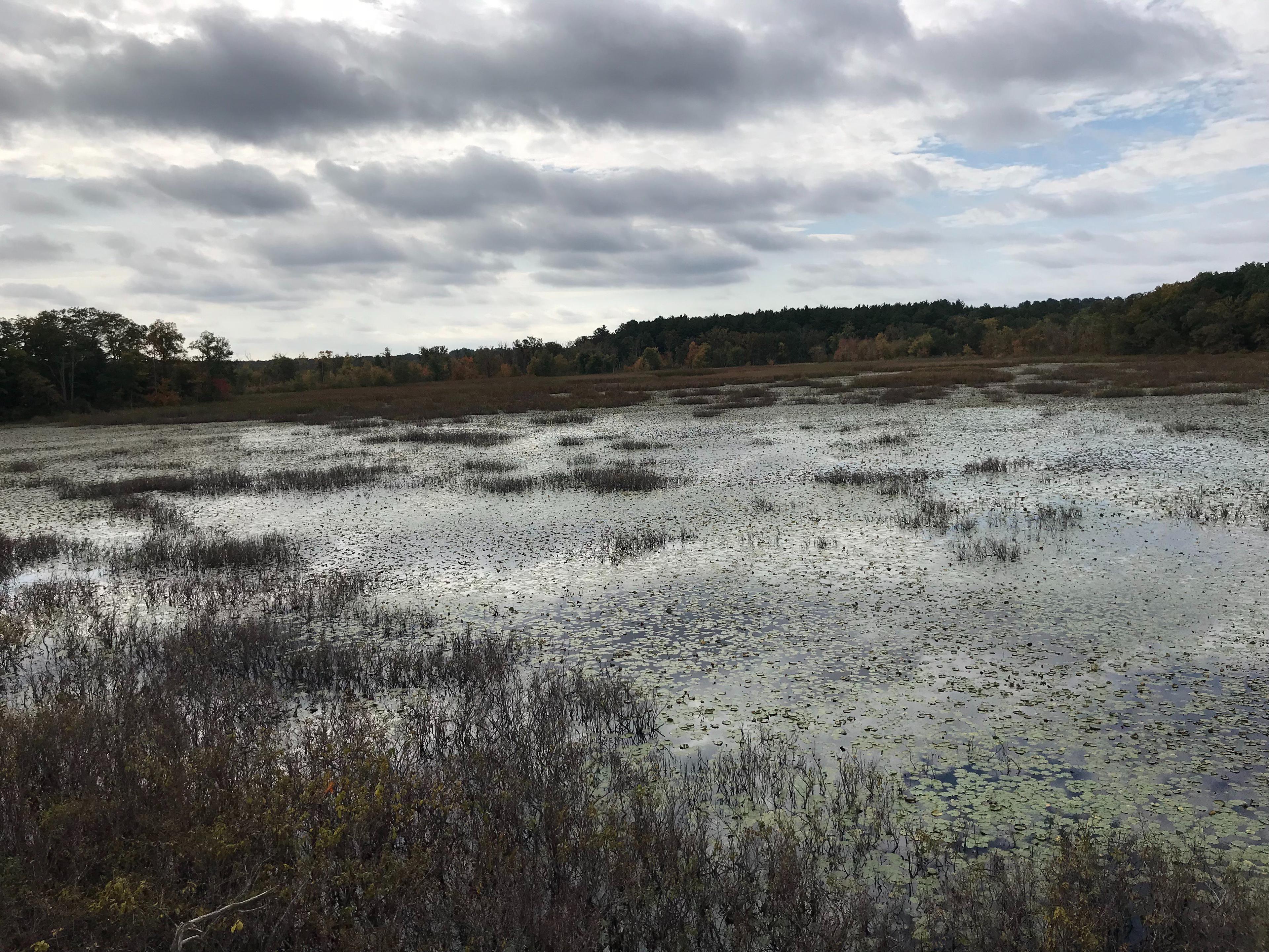 Mass Audubon Ipswich River Wildlife Sanctuary