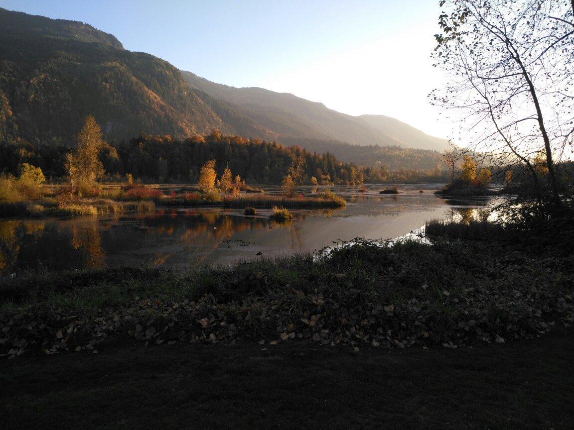 Cheam Lake Wetlands Regional Park