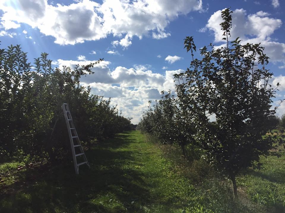 Erie Orchards & Cider Mill