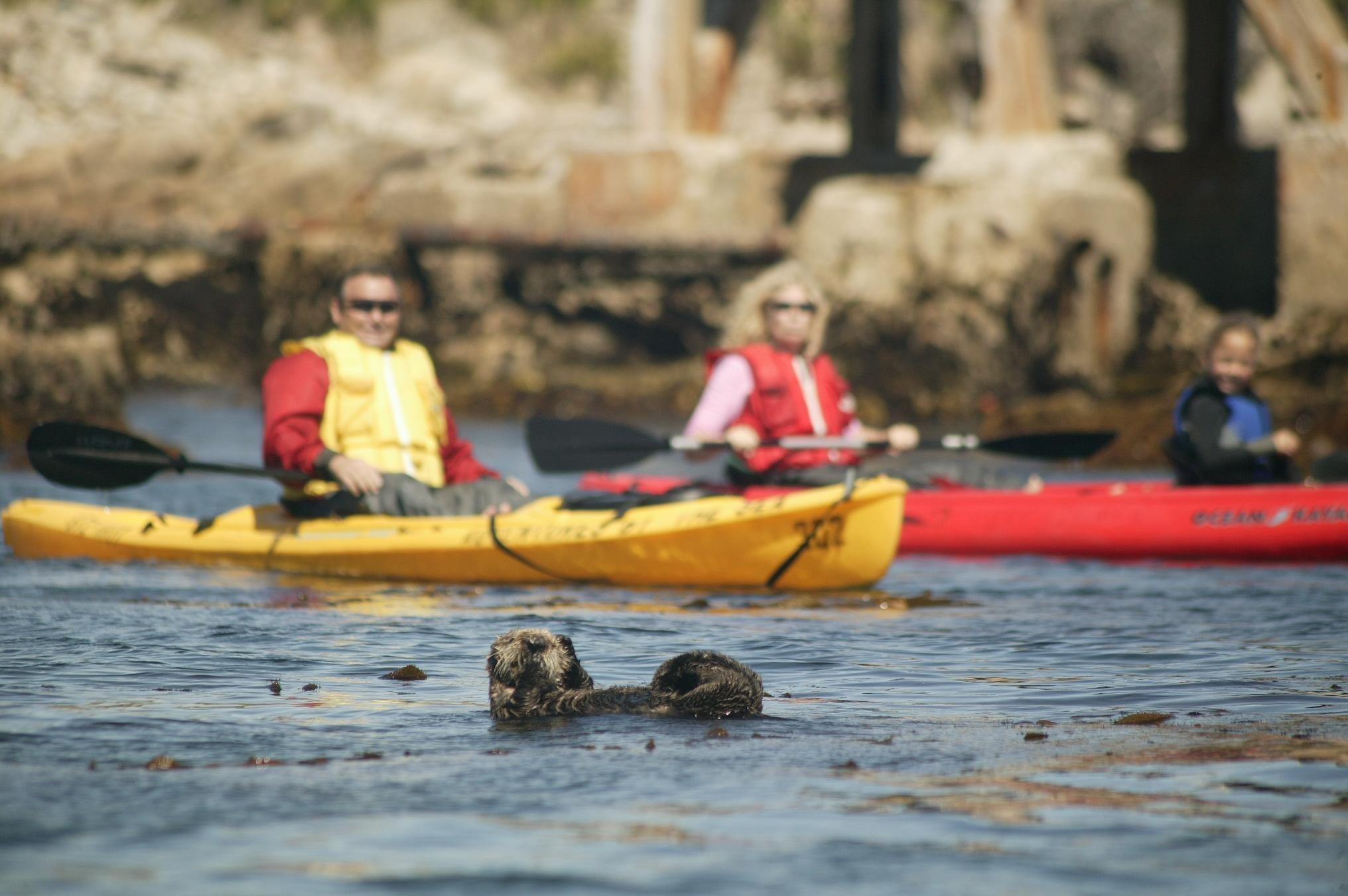 Pacific Grove Adventures