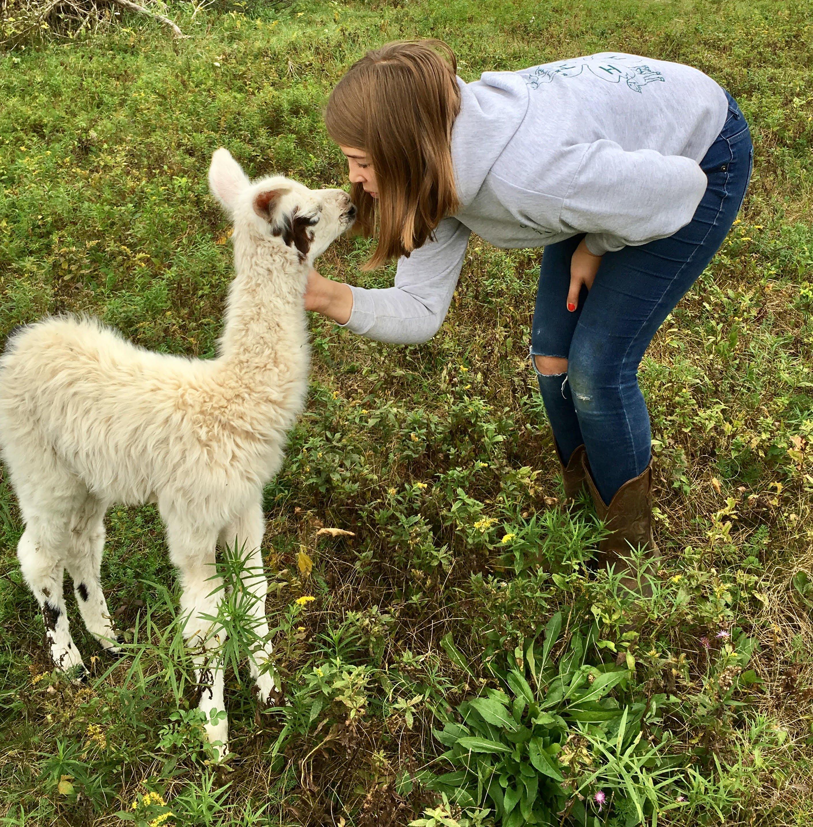 Clover Brooke Farm