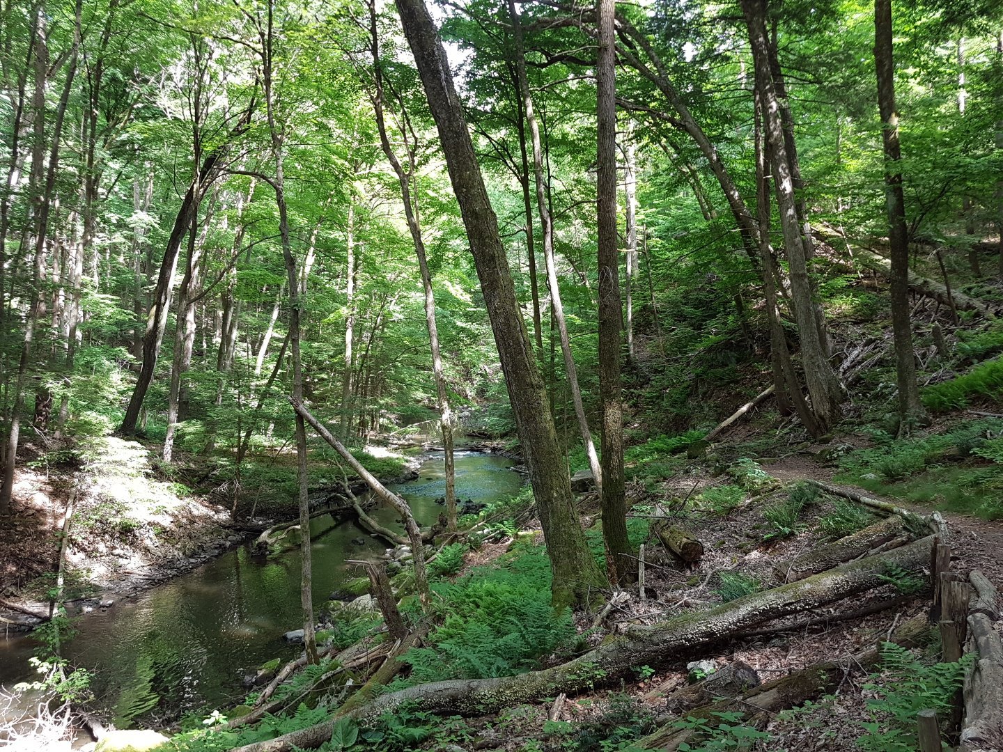 Mianus River Gorge Preserve