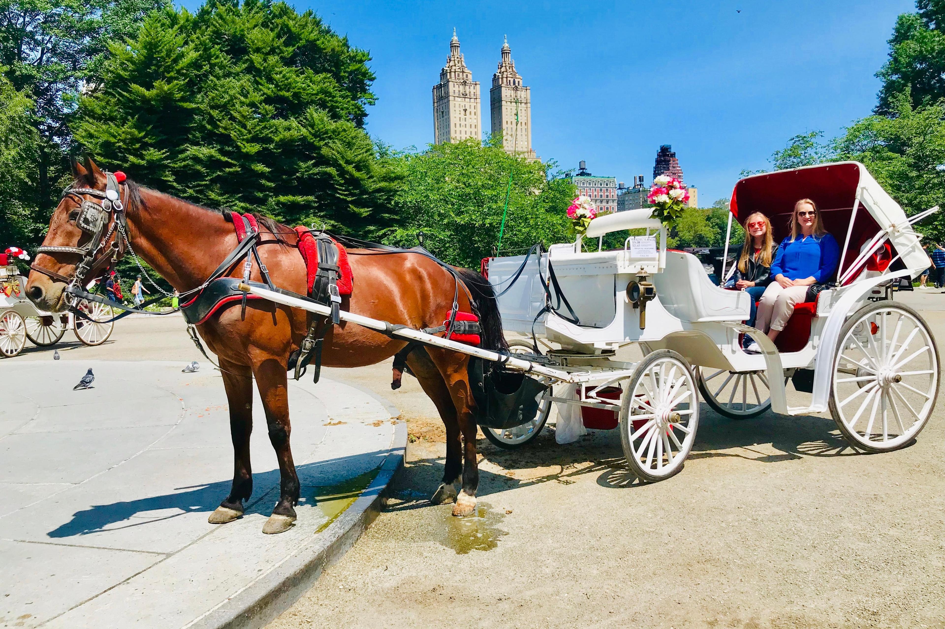 VIP Central Park tours