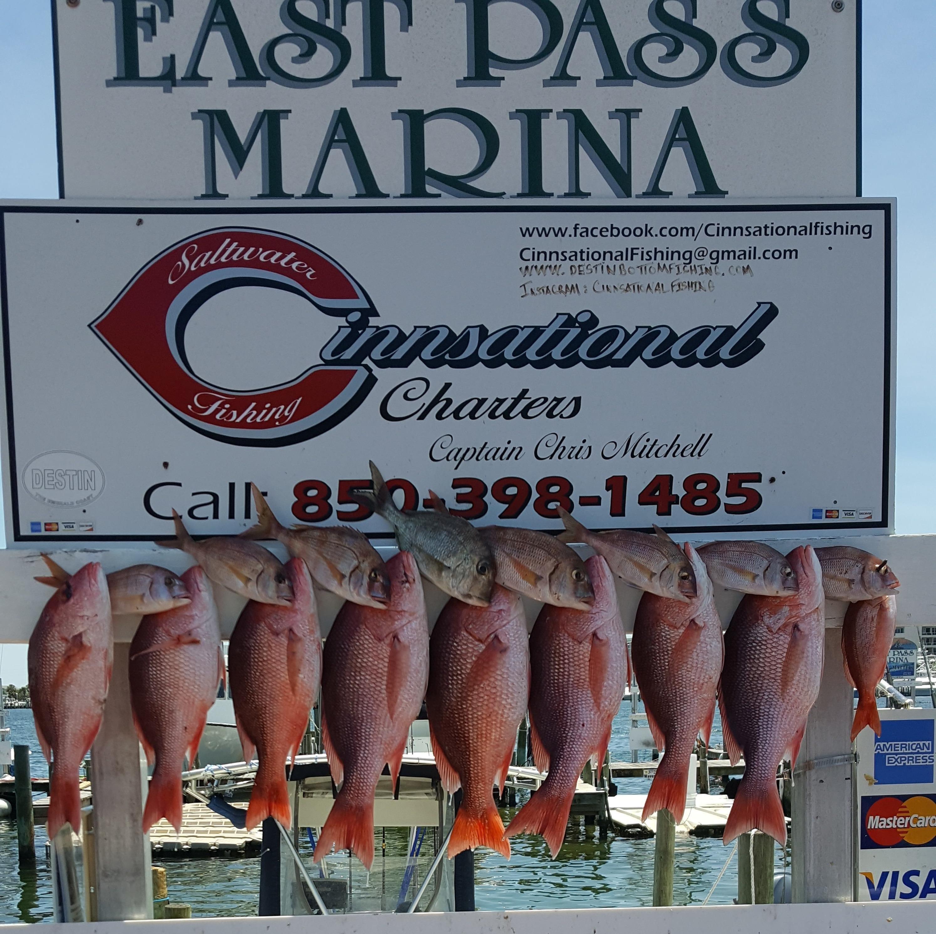 Cinnsational Saltwater Fishing