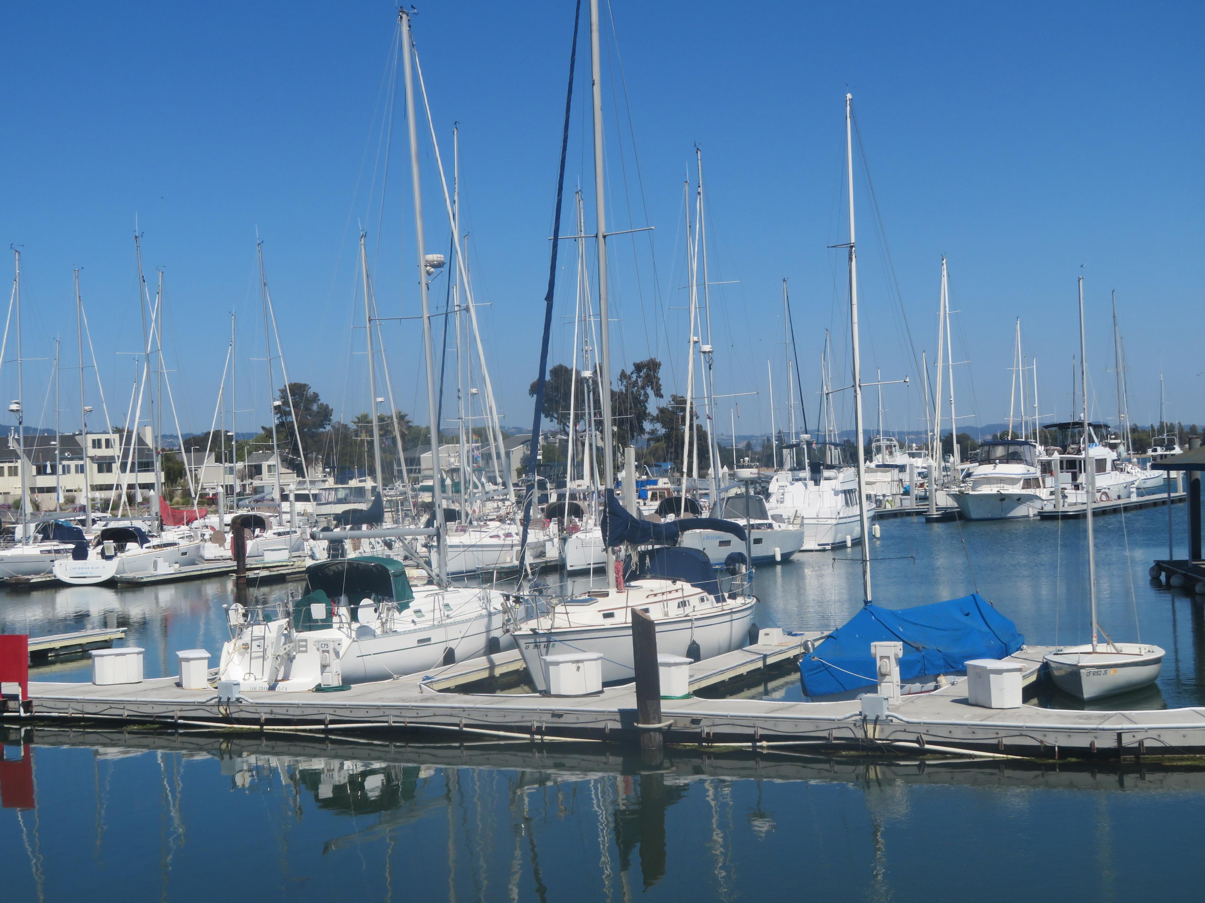 Ballena Isle Marina