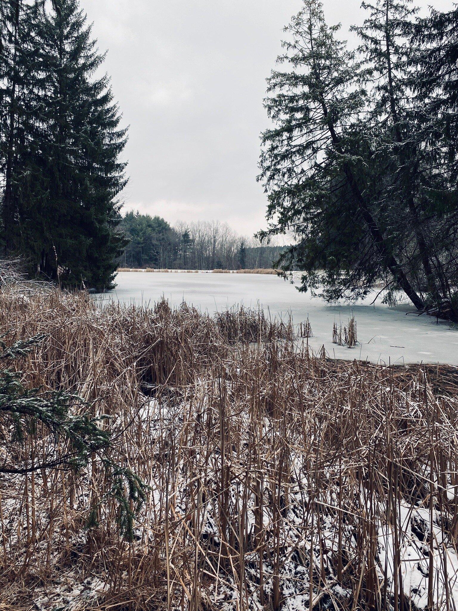 Tree Farm Trail