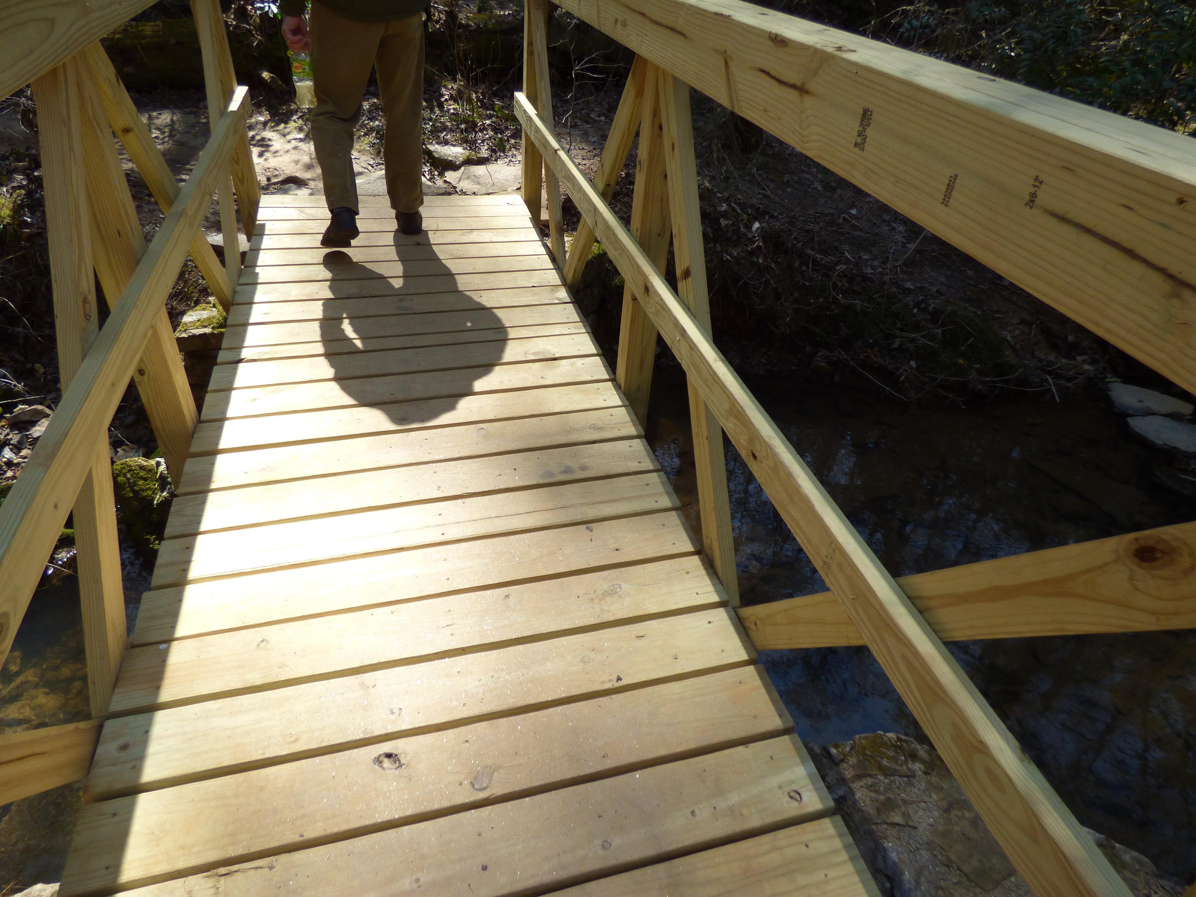 Reedy Branch Falls Trailhead