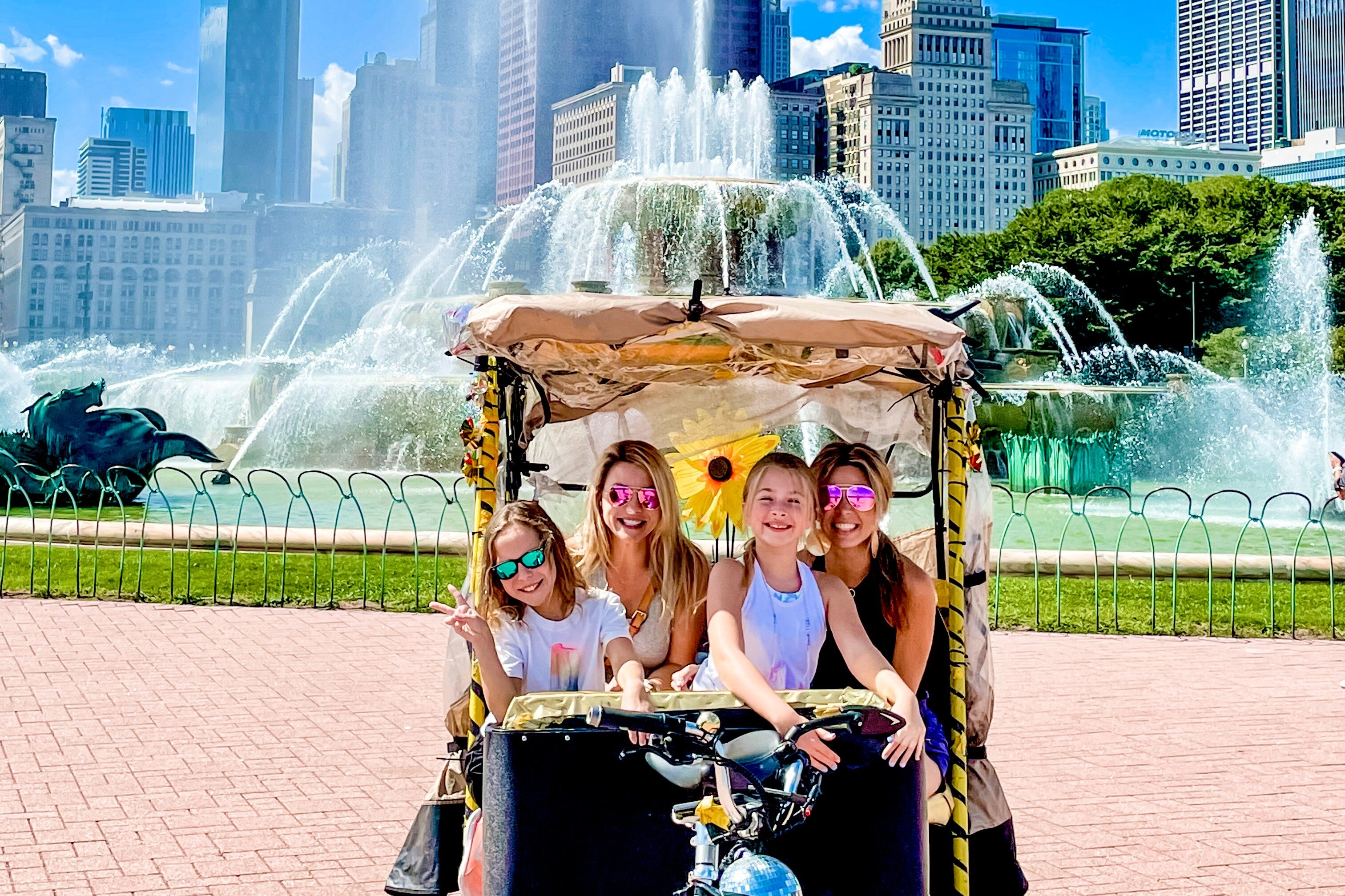 Save Ferris Chicago Pedicab Tours and Adventures