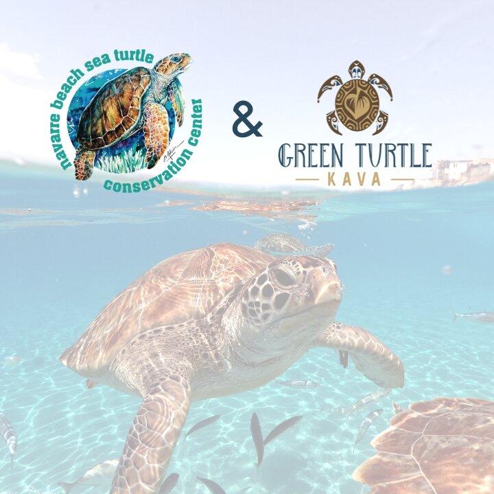 Green Turtle Kava Bar  - Daytona Beach