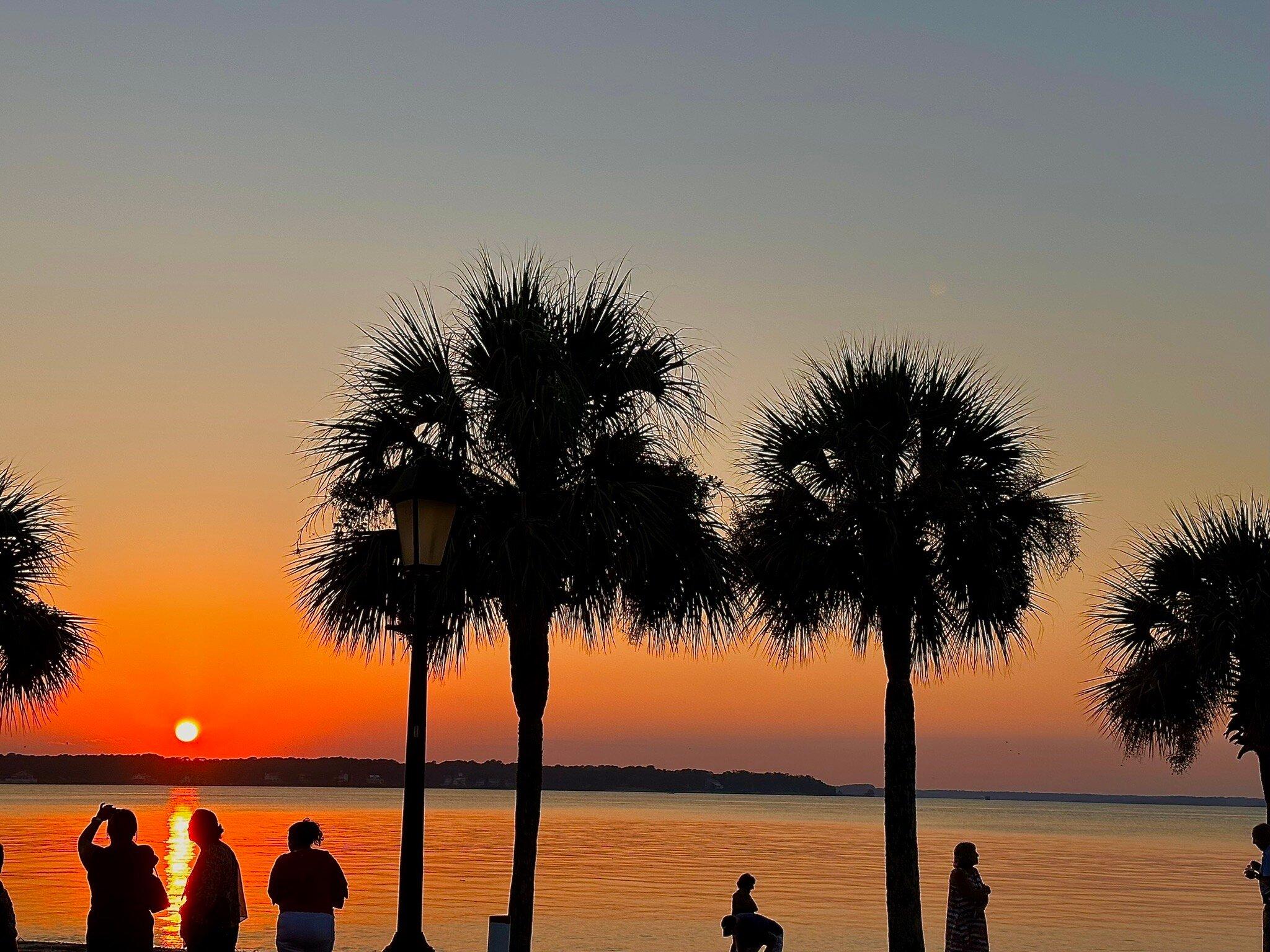 Loggerhead Landing