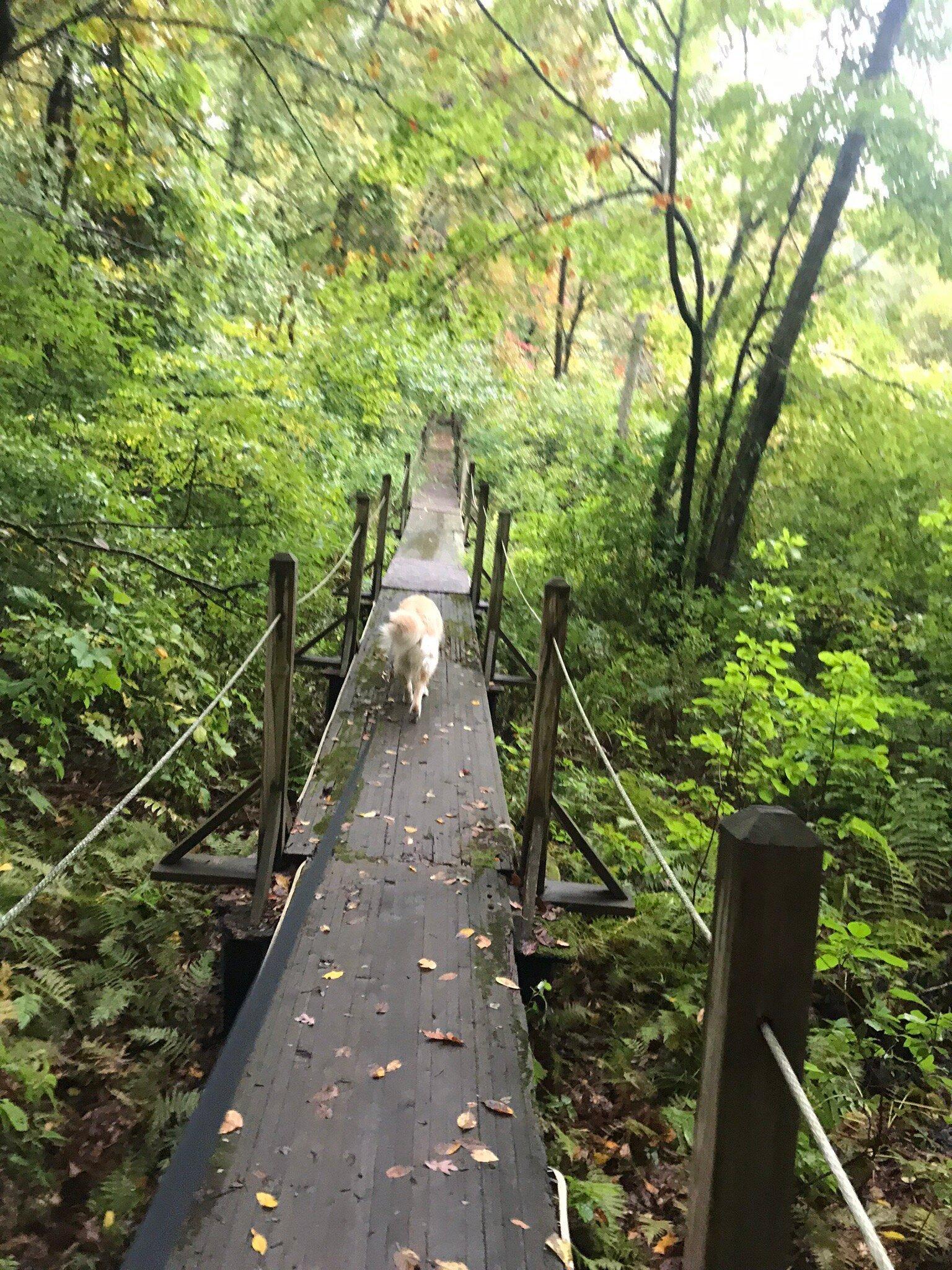 Woodcock Nature Center