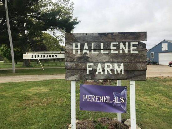 Hallene Farm