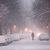 Photo of Snowstorm_145