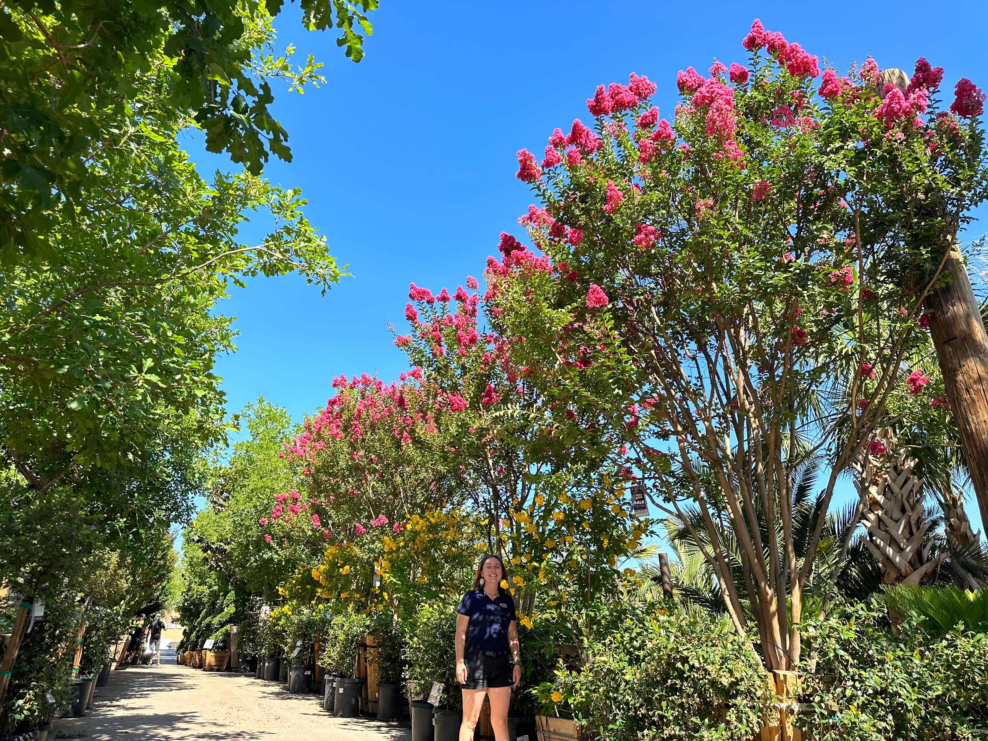 Moon Valley Nurseries