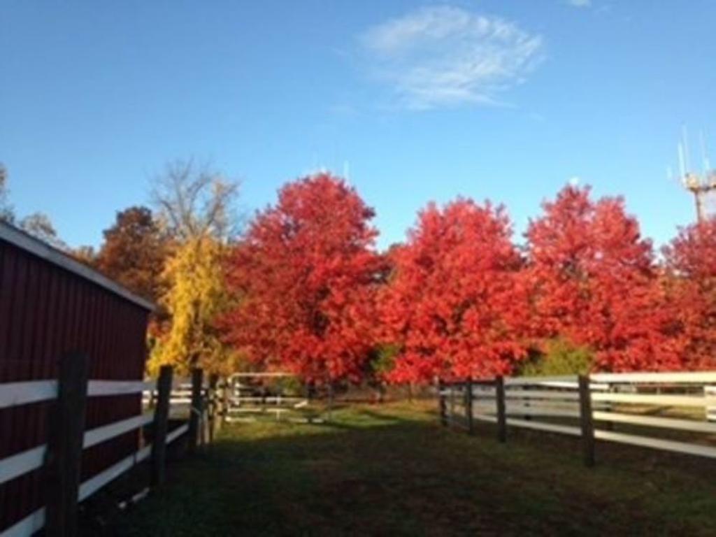 Flint Hill Farm AG