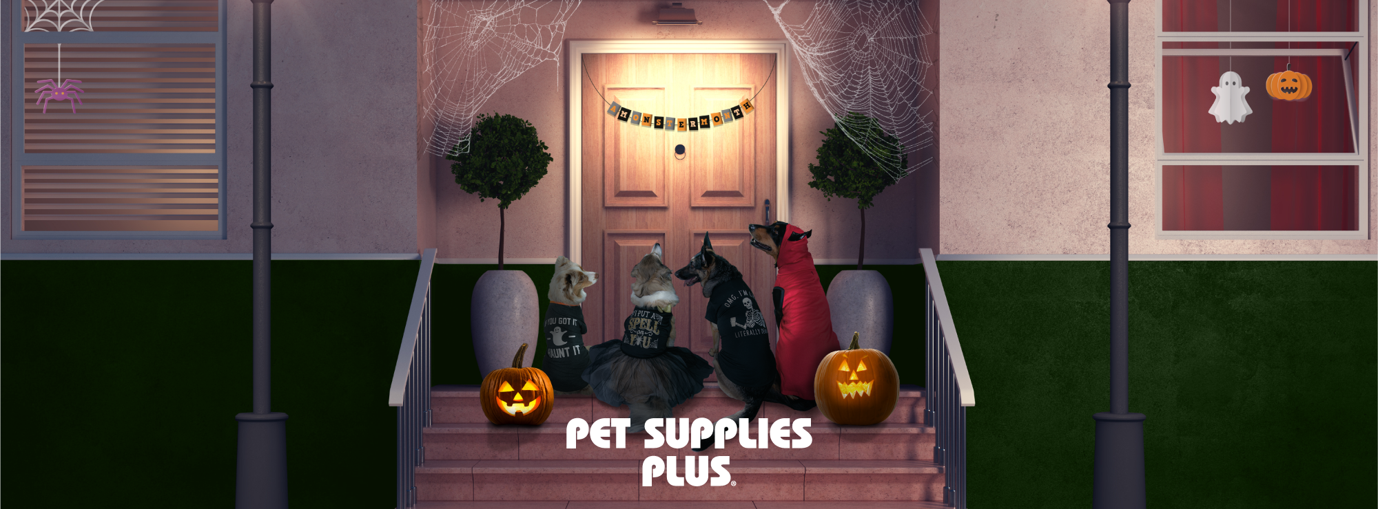 Pet Supplies Plus Racine