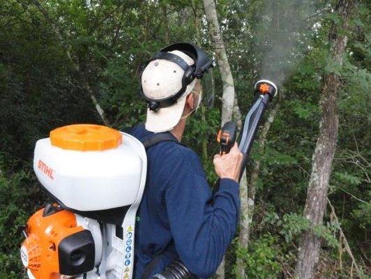 mosquito spray; mosquito control; mosquito extermination