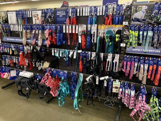 Lots of collars and leashes for bigger dogs