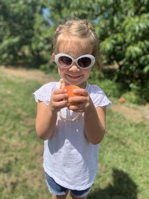 Shady Brook Peaches