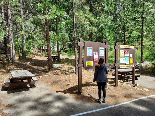 Grizzly Falls Picnic Area