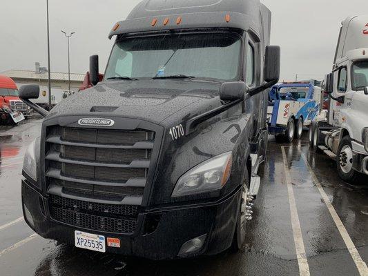 2019 cascadia's are sweet