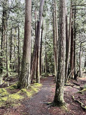 Millersylvania State Park trail system