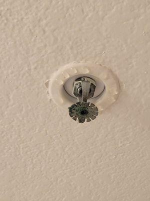 Leaking fire sprinkler