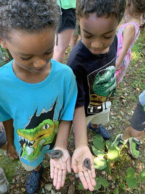 Finding large slugs at PUDDLESTOMPERS!