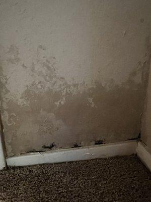 Most of your walls will look like this upon moving in, paint them yourselves i guess.