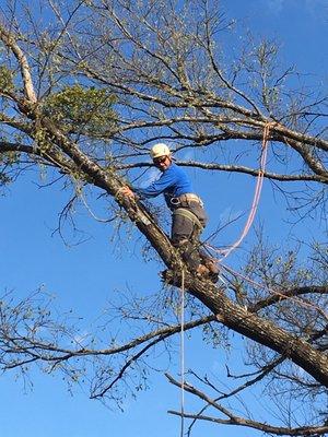 Lovett Tree Service