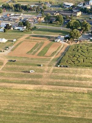 Cool corn maze the balloon company made!