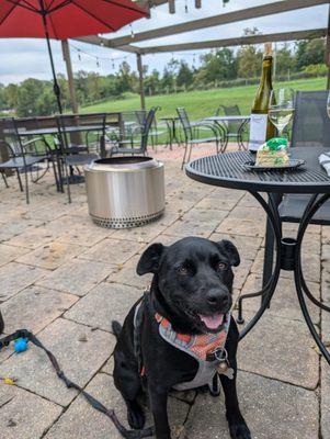 Outdoor dog friendly patio