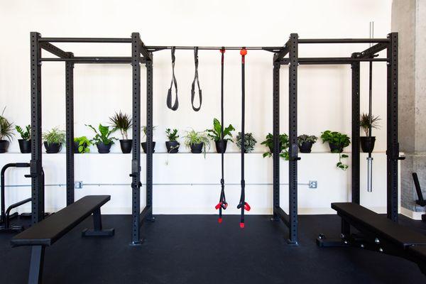 Squat racks for training and rehab.