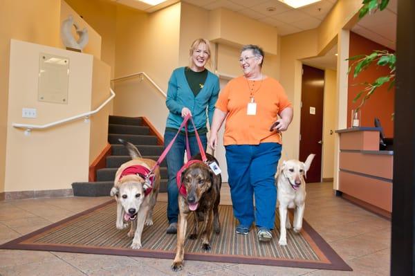 Hospice of the Valley Pet Companions bring comfort and companionship to patients and families!