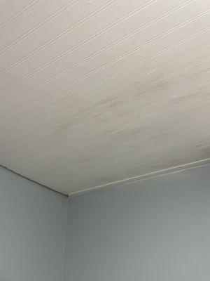 Bathroom Ceiling