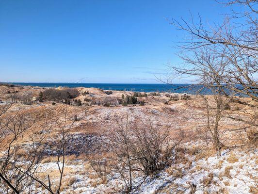 Dune Succession Trail | Instagram: @telephonesmoothie