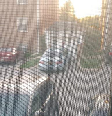 Another illegally parked car.. Every day.