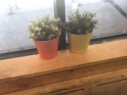 Cute window sill